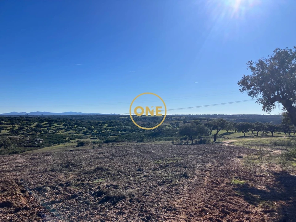 Terreno para Venda em Arez e Amieira do Tejo Foto 2