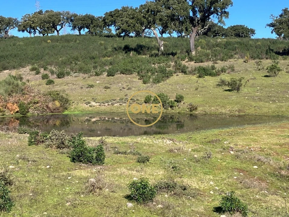 Terreno para Venda em Arez e Amieira do Tejo Foto 4