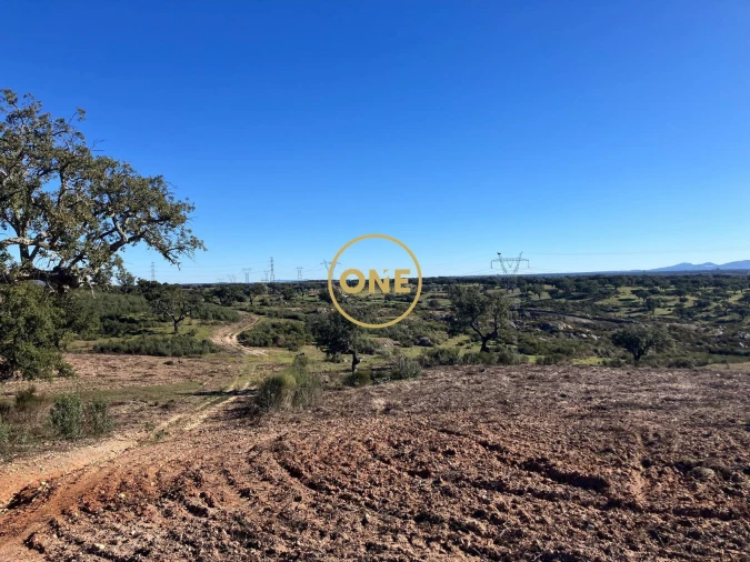 Terreno para Venda em Arez e Amieira do Tejo Foto 5