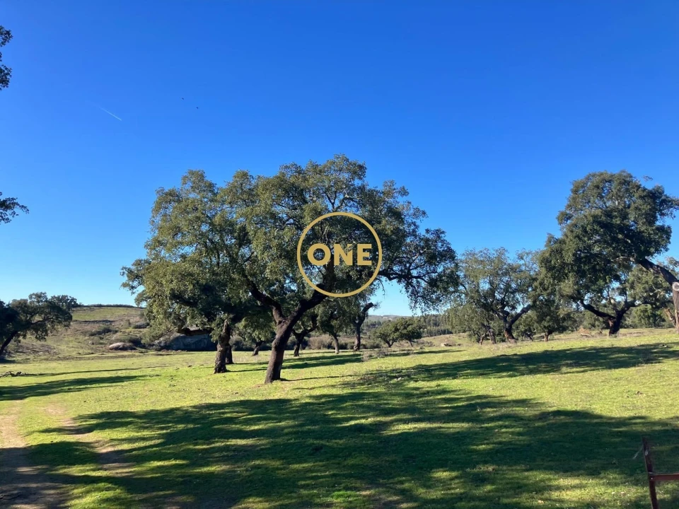 Terreno para Venda em Arez e Amieira do Tejo Foto 1