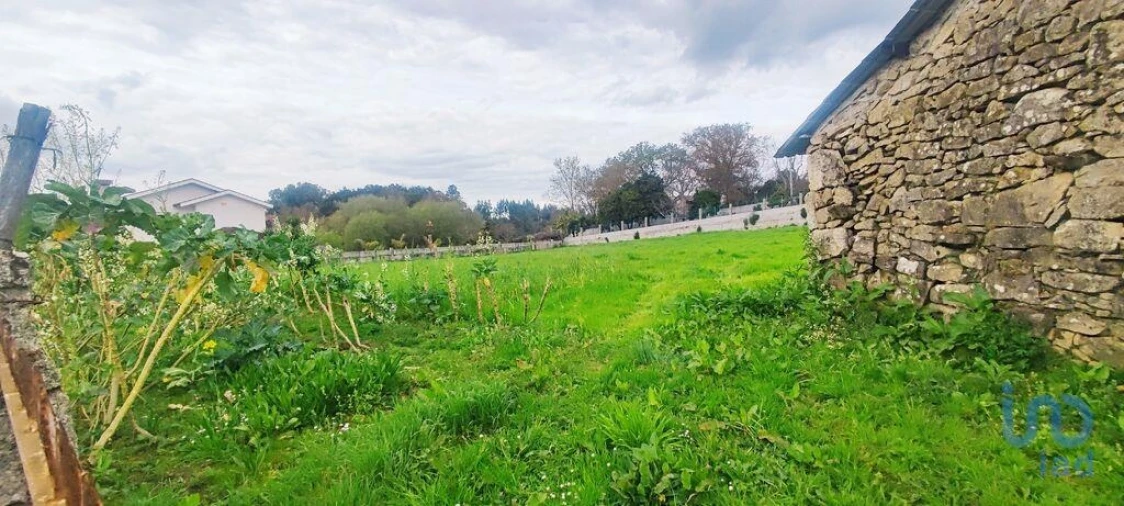 Moradia T1 para Venda em Bela Foto 4