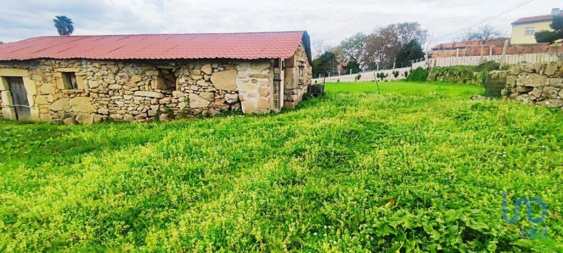 Moradia T1 para Venda em Bela Foto 2