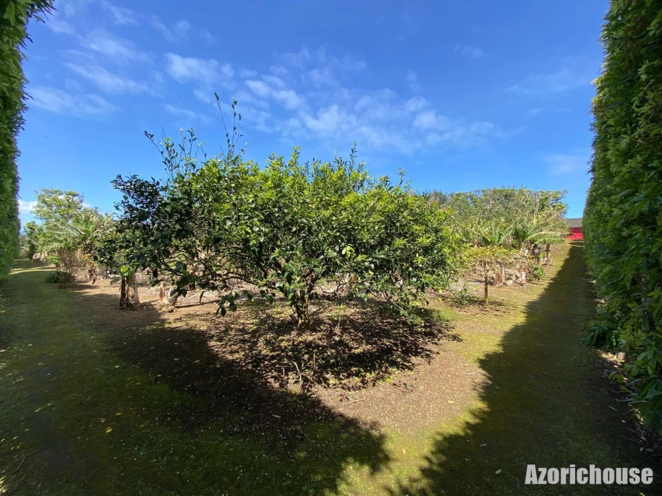 Quinta para Venda em Rabo de Peixe Foto 16