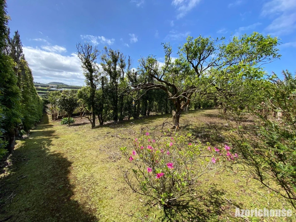 Quinta para Venda em Rabo de Peixe Foto 15