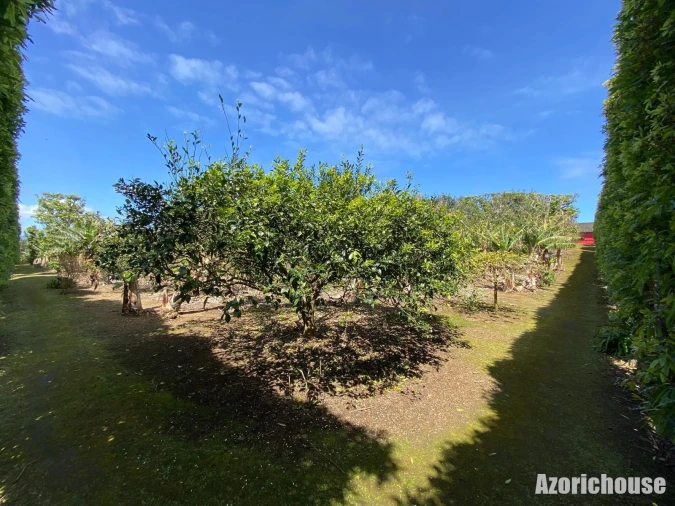 Quinta para Venda em Rabo de Peixe Foto 16