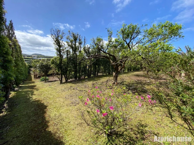 Quinta para Venda em Rabo de Peixe Foto 15