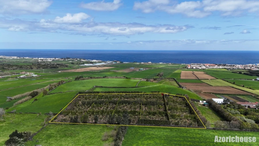 Quinta para Venda em Rabo de Peixe