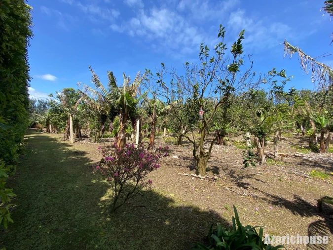 Quinta para Venda em Rabo de Peixe Foto 17