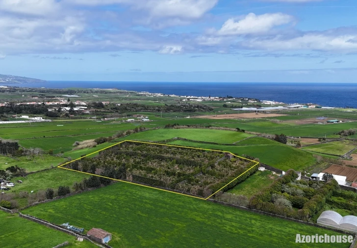 Quinta para Venda em Rabo de Peixe Foto 3