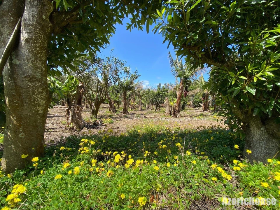Quinta para Venda em Rabo de Peixe Foto 13