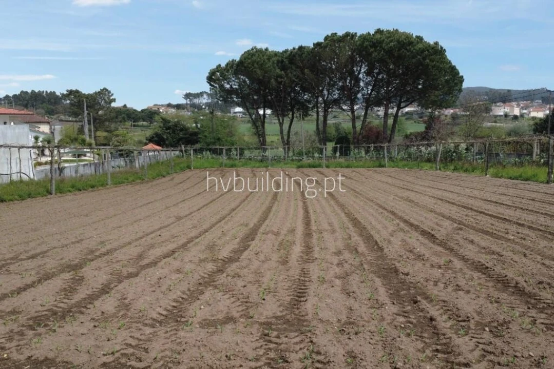 Terreno para Venda em Carvalhal Foto 10