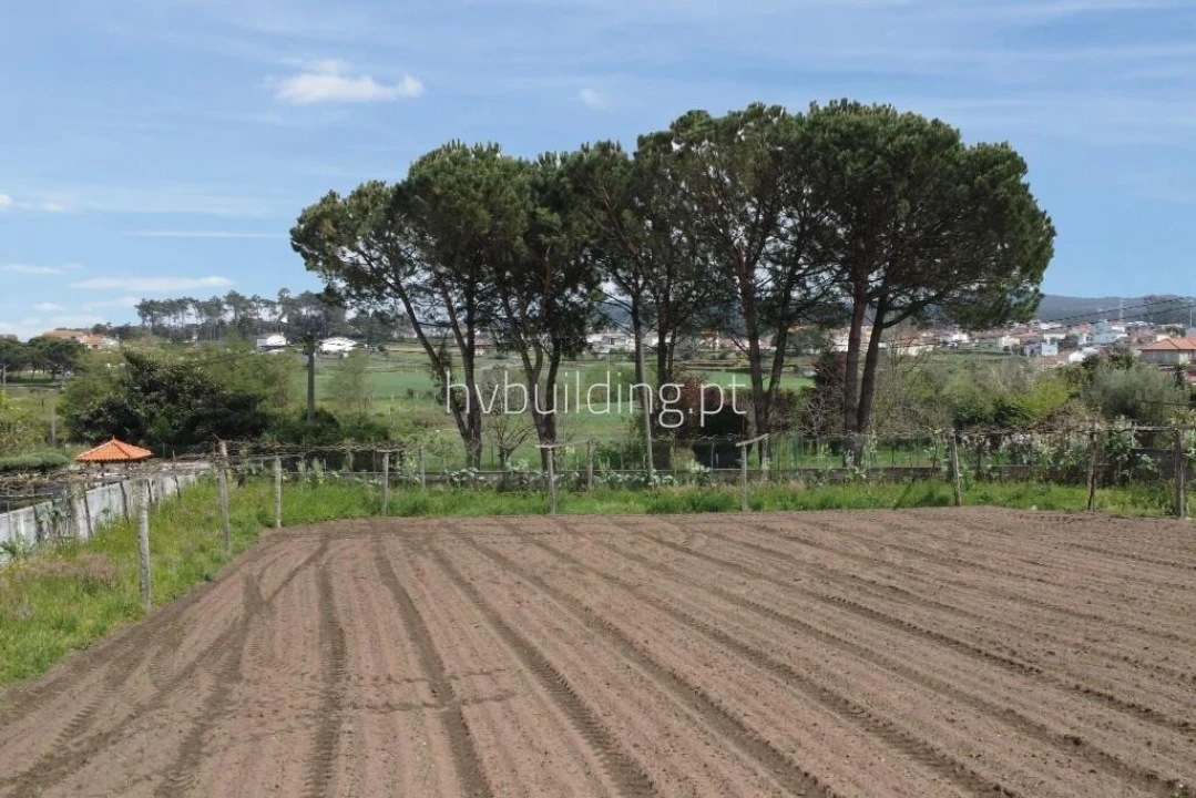 Terreno para Venda em Carvalhal Foto 5