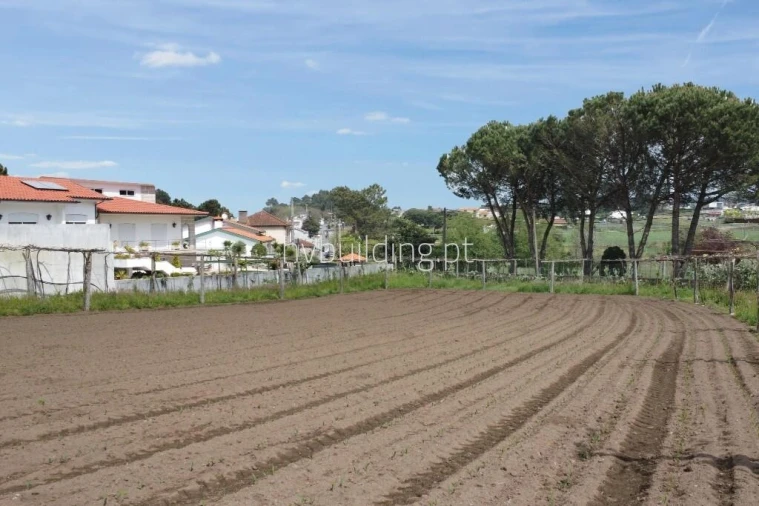 Terreno para Venda em Carvalhal Foto 8