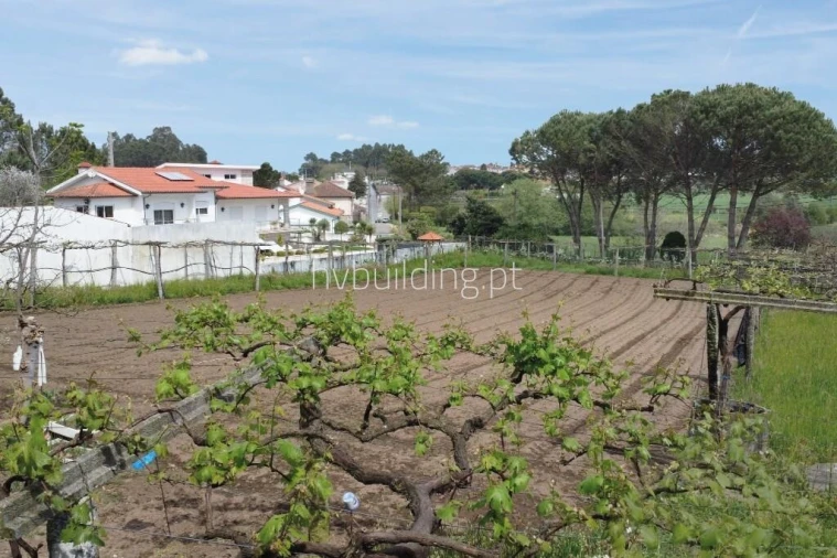 Terreno para Venda em Carvalhal Foto 11