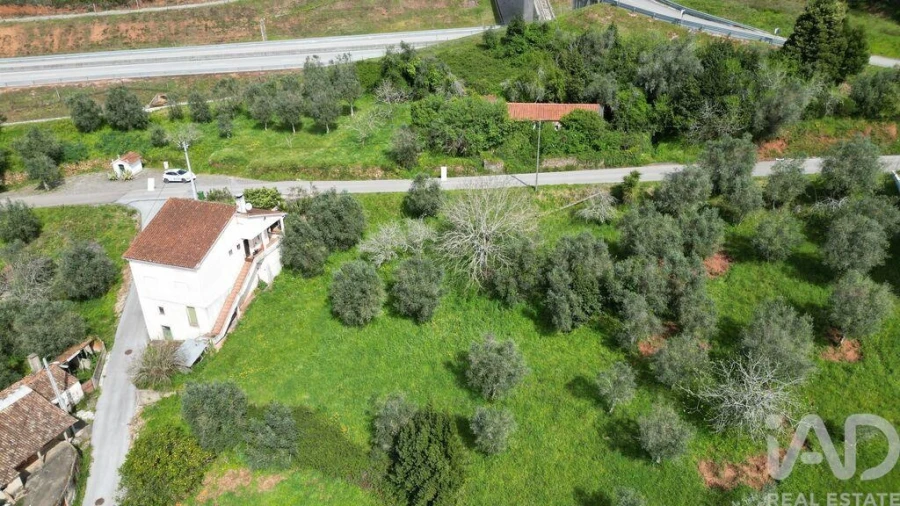 Terreno para Venda em São Miguel, Santa Eufémia e Rabaçal Foto 15