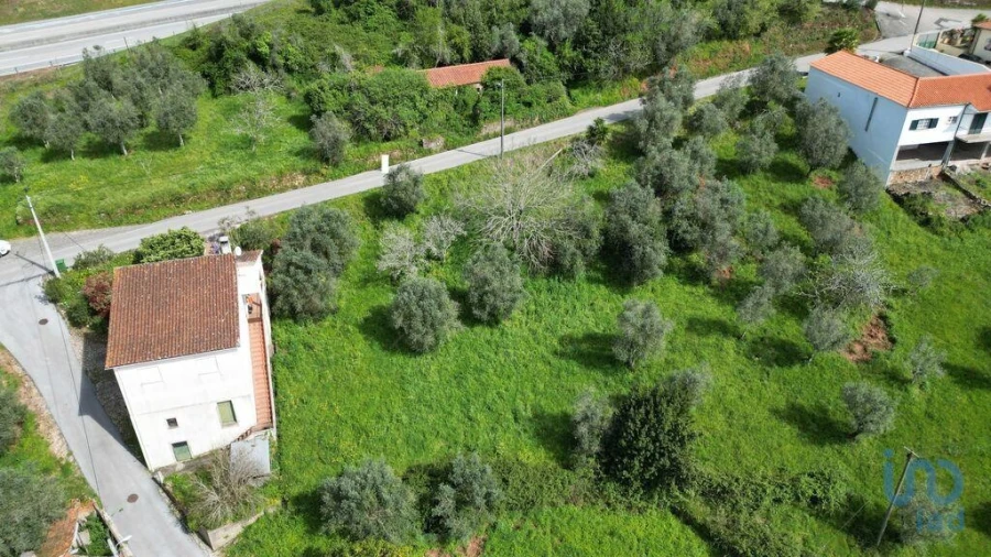 Terreno para Venda em São Miguel, Santa Eufémia e Rabaçal Foto 14