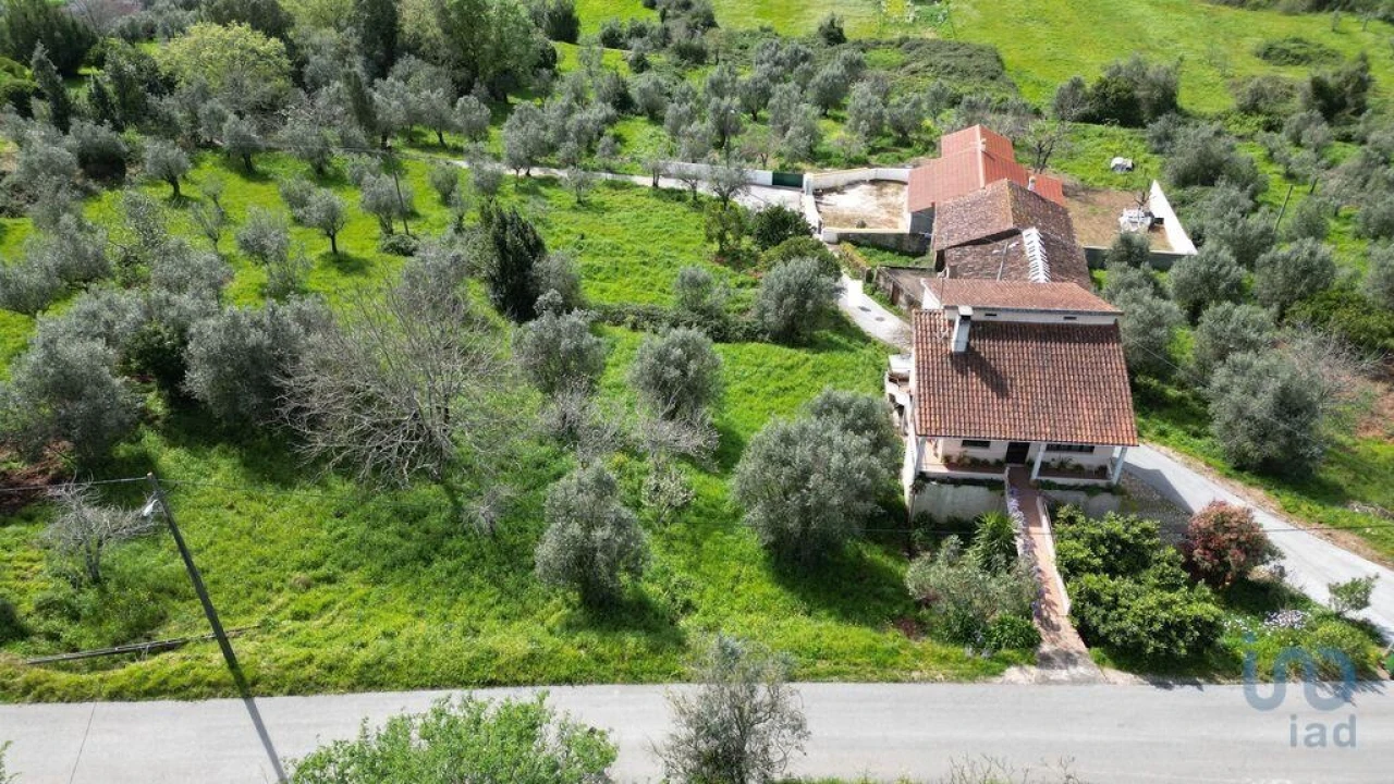 Terreno para Venda em São Miguel, Santa Eufémia e Rabaçal Foto 12