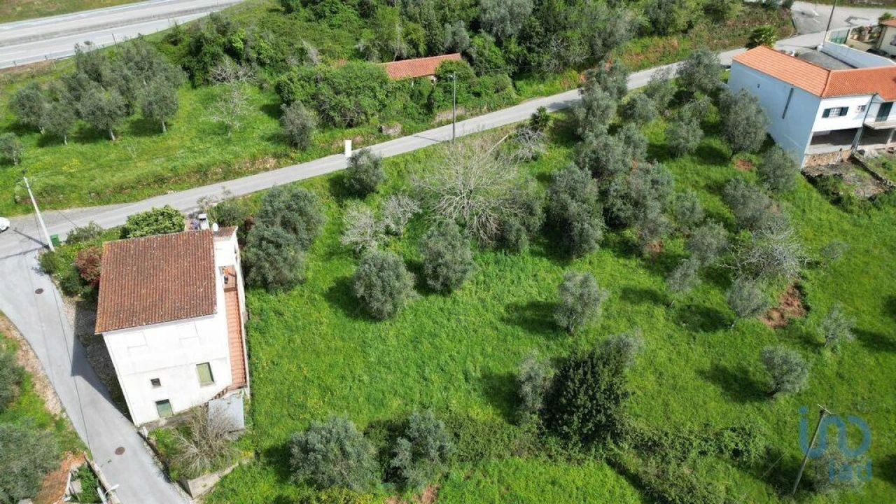 Terreno para Venda em São Miguel, Santa Eufémia e Rabaçal Foto 14