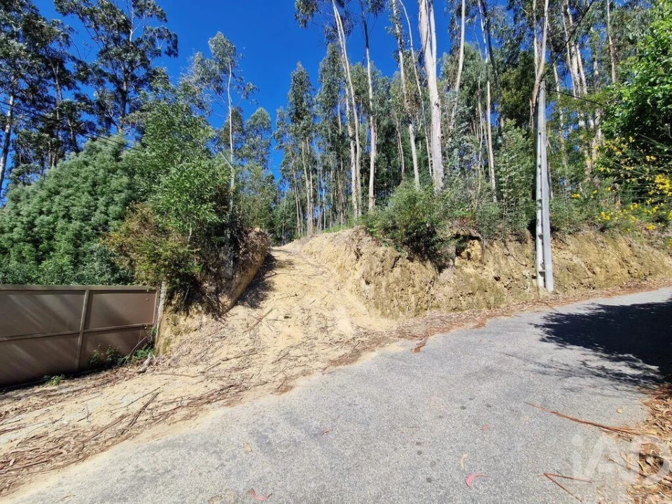 Terreno para Venda em Nogueira, Meixedo e Vilar de Murteda Foto 4