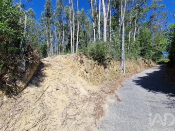 Terreno para Venda em Nogueira, Meixedo e Vilar de Murteda