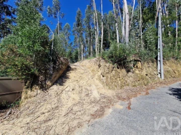 Terreno para Venda em Nogueira, Meixedo e Vilar de Murteda