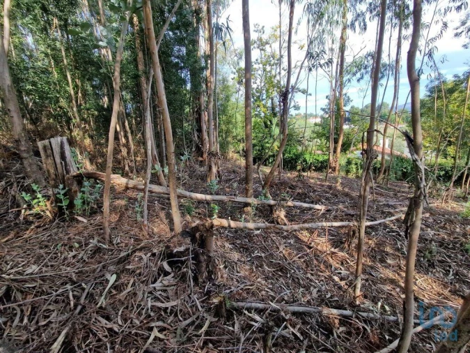 Terreno para Venda em Nogueira, Meixedo e Vilar de Murteda Foto 9