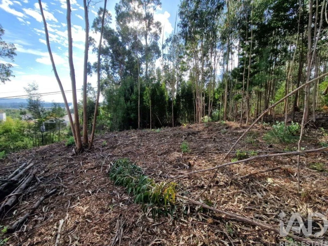 Terreno para Venda em Nogueira, Meixedo e Vilar de Murteda Foto 26
