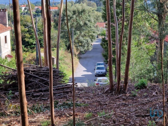 Terreno para Venda em Nogueira, Meixedo e Vilar de Murteda Foto 11