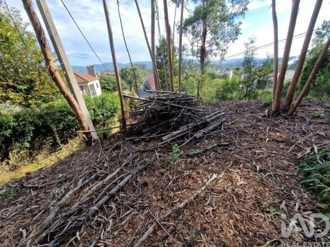 Terreno para Venda em Nogueira, Meixedo e Vilar de Murteda Foto 25