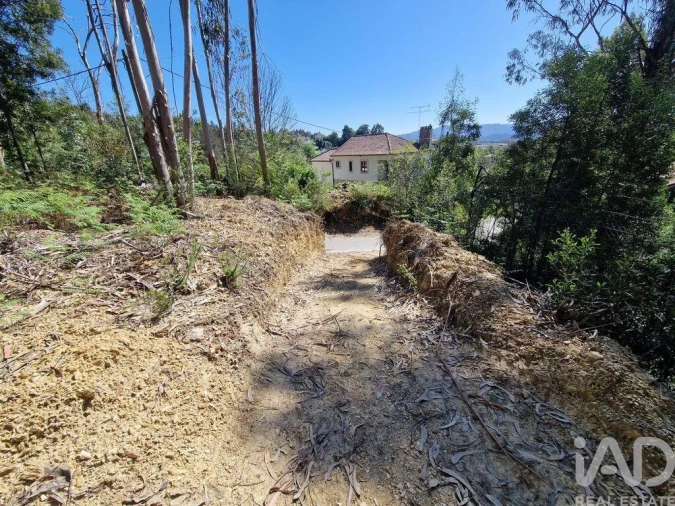 Terreno para Venda em Nogueira, Meixedo e Vilar de Murteda Foto 5