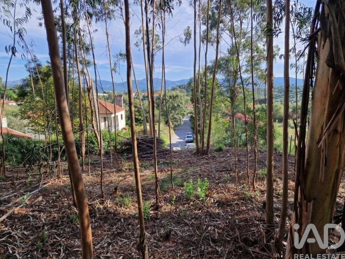 Terreno para Venda em Nogueira, Meixedo e Vilar de Murteda Foto 18
