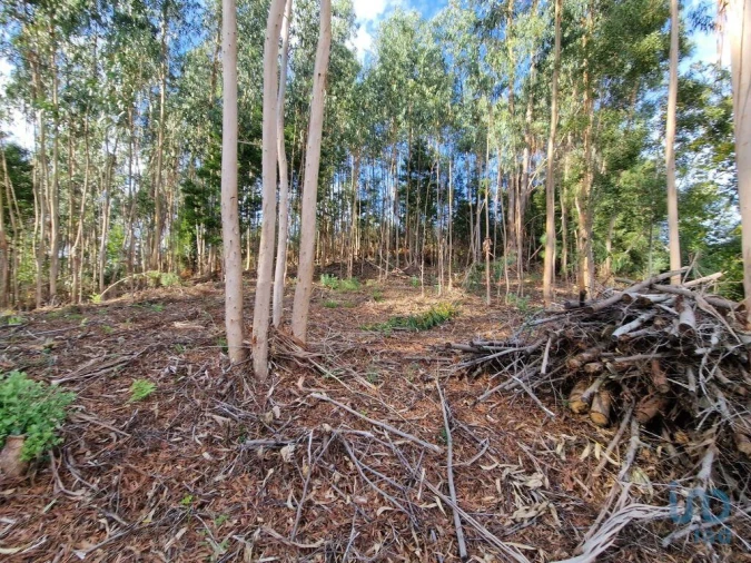 Terreno para Venda em Nogueira, Meixedo e Vilar de Murteda Foto 2