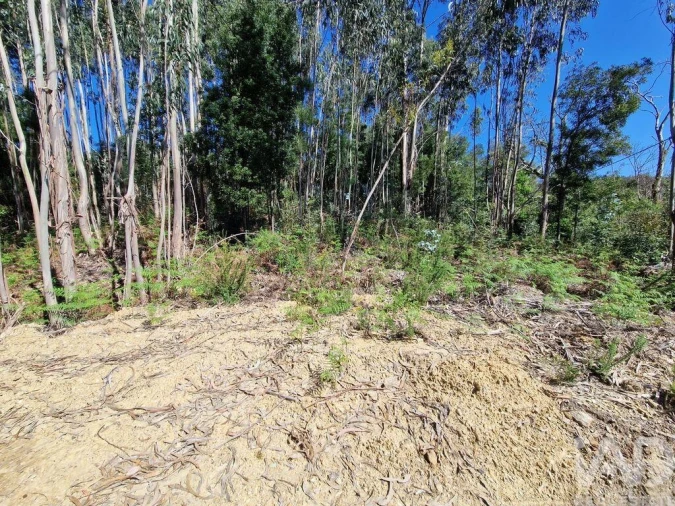 Terreno para Venda em Nogueira, Meixedo e Vilar de Murteda Foto 3