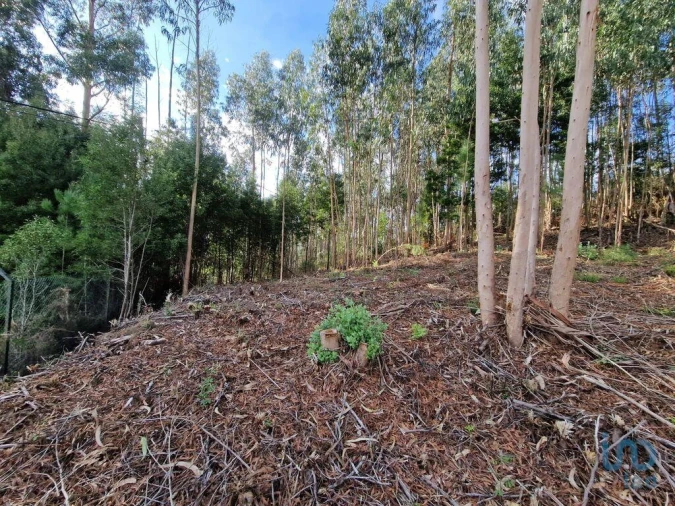 Terreno para Venda em Nogueira, Meixedo e Vilar de Murteda Foto 3