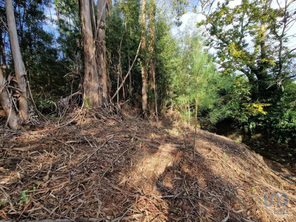 Terreno para Venda em Nogueira, Meixedo e Vilar de Murteda Foto 8