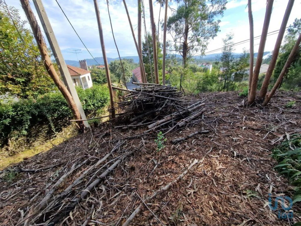 Terreno para Venda em Nogueira, Meixedo e Vilar de Murteda Foto 4