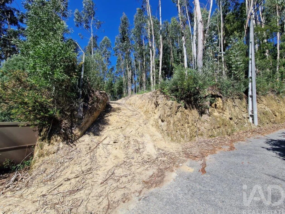 Terreno para Venda em Nogueira, Meixedo e Vilar de Murteda Foto 1
