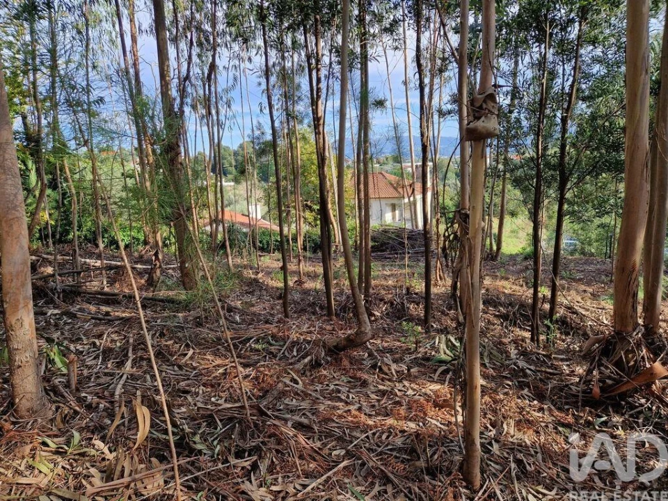 Terreno para Venda em Nogueira, Meixedo e Vilar de Murteda Foto 15