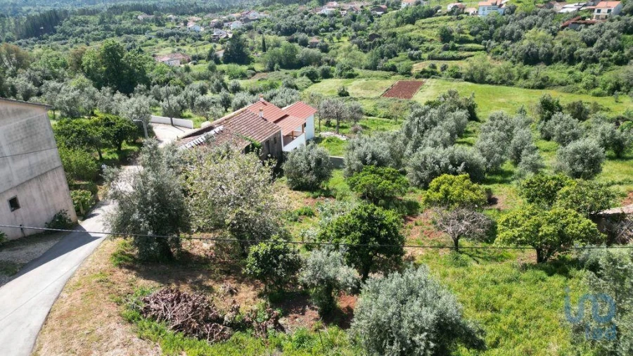 Terreno para Venda em São Miguel, Santa Eufémia e Rabaçal Foto 12