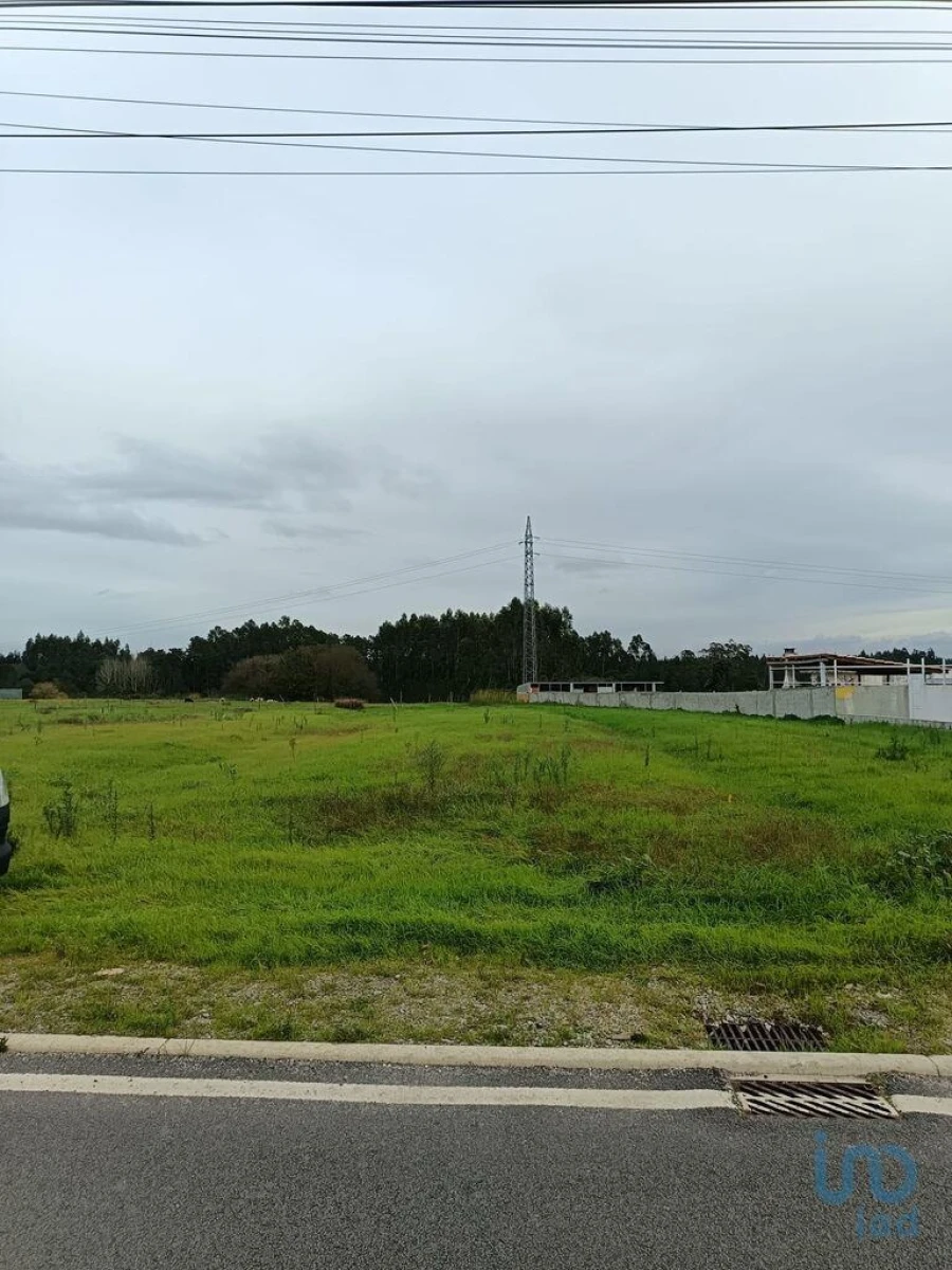 Terreno para Venda em Ponte de Vagos e Santa Catarina Foto 6