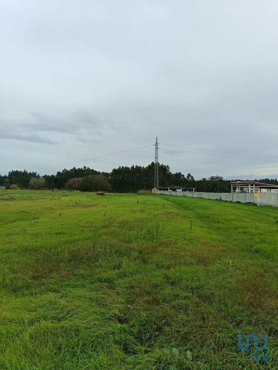 Terreno para Venda em Ponte de Vagos e Santa Catarina Foto 2