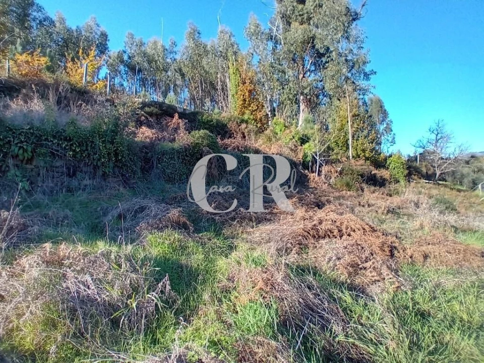 Moradia T5 para Venda em Castanheira de Pêra e Coentral Foto 28