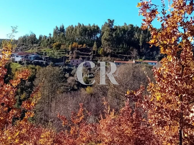 Moradia T5 para Venda em Castanheira de Pêra e Coentral Foto 37