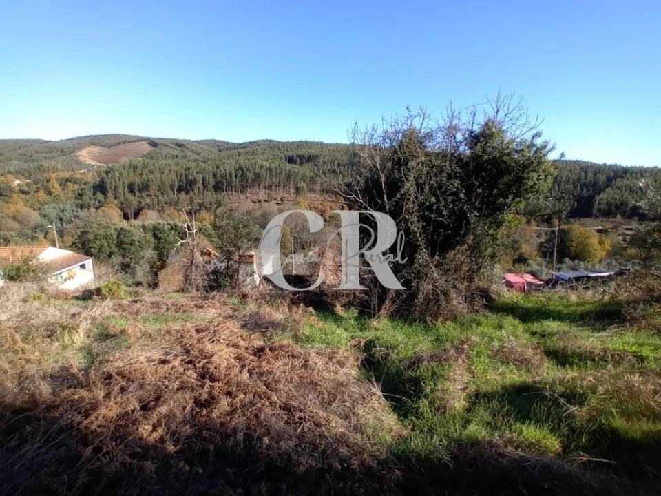 Moradia T5 para Venda em Castanheira de Pêra e Coentral Foto 30