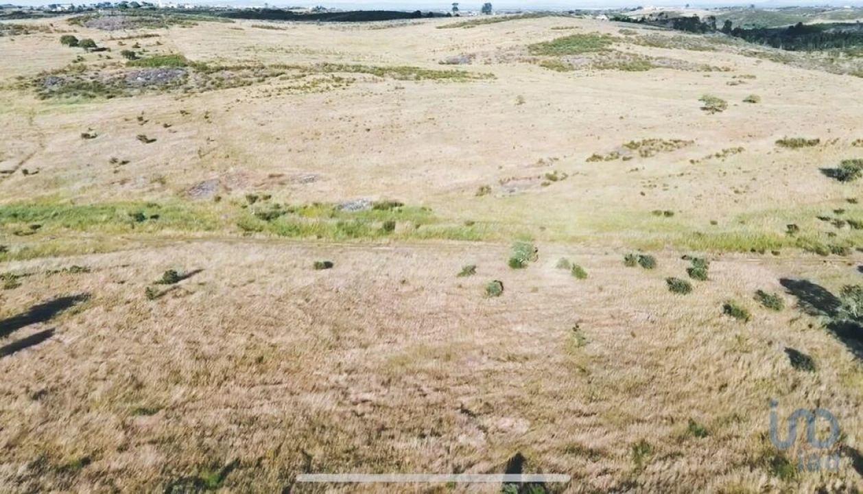Terreno para Venda em Santiago Maior Foto 1