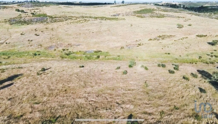 Terreno para Venda em Santiago Maior Foto 1