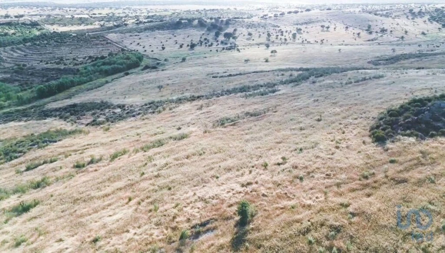 Terreno para Venda em Santiago Maior Foto 3