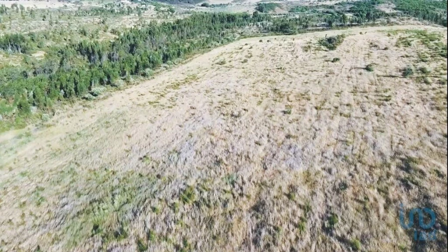 Terreno para Venda em Santiago Maior Foto 2