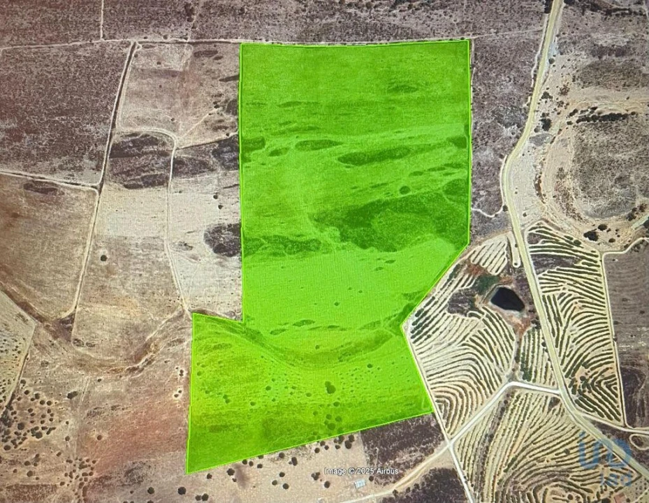 Terreno para Venda em Santiago Maior Foto 4