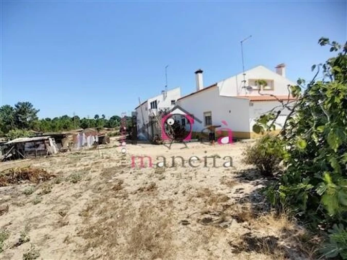 Moradia T2 para Venda em Melides Foto 6